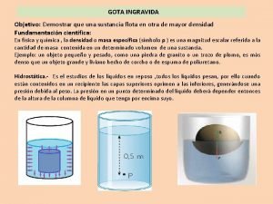 Gota ingravida