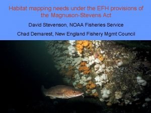 Habitat mapping needs under the EFH provisions of