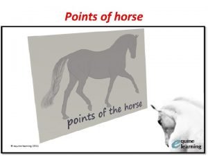 Point of the horse