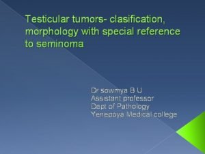 Testicular tumors clasification morphology with special reference to