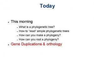 Gene tree vs phylogenetic tree