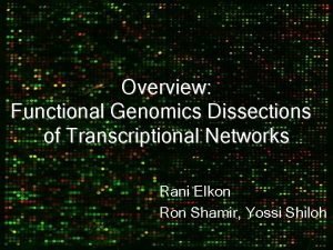 Overview Functional Genomics Dissections of Transcriptional Networks Rani
