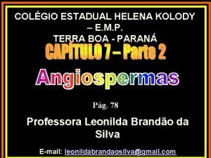 COLGIO ESTADUAL HELENA KOLODY E M P TERRA