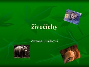 ivochy Zuzana Fusikov n ivochy nie s len