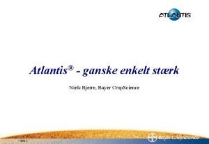 Atlantis ganske enkelt strk Niels Bjerre Bayer Crop