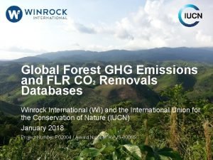 Global Forest GHG Emissions and FLR CO 2