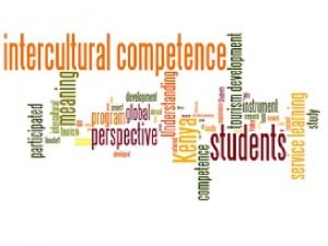 Constituent elements of intercultural competence