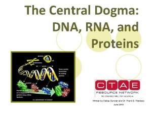 The Central Dogma DNA RNA and Proteins Written