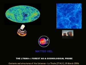 MATTEO VIEL THE LYMANa FOREST AS A COSMOLOGICAL