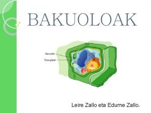 BAKUOLOAK Leire Zallo eta Edurne Zallo Zer da