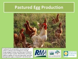 Pastured Egg Production Funding for this presentation was