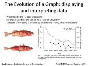 The Evolution of a Graph displaying and interpreting