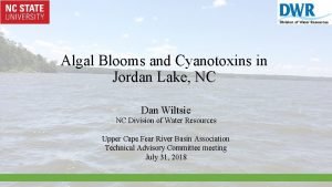 Algal Blooms and Cyanotoxins in Jordan Lake NC