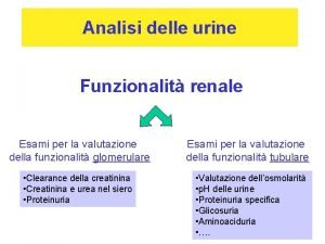 Urine torbide e urati amorfi