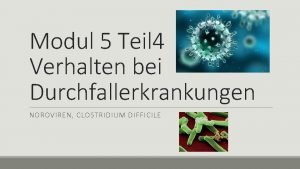 Modul 5 Teil 4 Verhalten bei Durchfallerkrankungen NOROVIREN