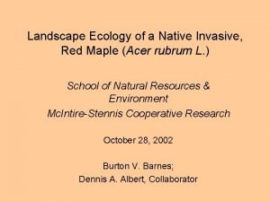 Landscape Ecology of a Native Invasive Red Maple