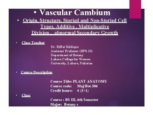 Vascular cambium produces *