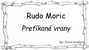 Rudo Moric Prefkan vrany Mgr Simona Gondekov Rudo