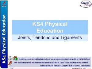 KS 4 Physical Education Joints Tendons and Ligaments