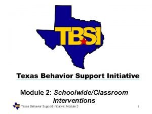 Texas behavior support initiative