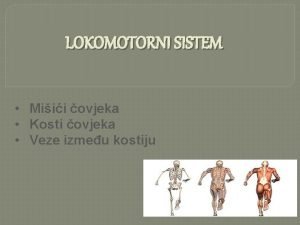 LOKOMOTORNI SISTEM Miii ovjeka Kosti ovjeka Veze izmeu