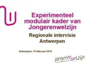 Experimenteel modulair kader van Jongerenwelzijn Regionale intervisie Antwerpen