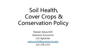 Soil Health Cover Crops Conservation Policy Naveen Adusumilli