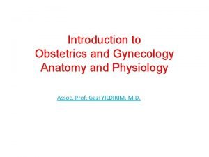 Introduction to Obstetrics and Gynecology Anatomy and Physiology