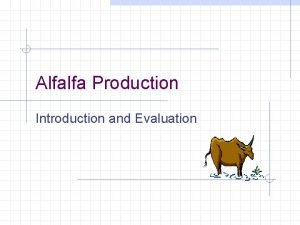 Alfalfa Production Introduction and Evaluation Introduction Medicago sativa
