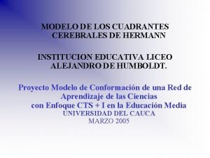 Modelo de los cuadrantes cerebrales