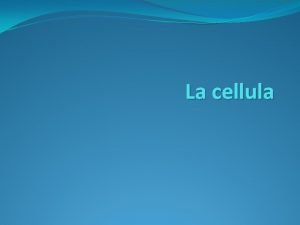 La cellula Tutti gli esseri viventi dai pi