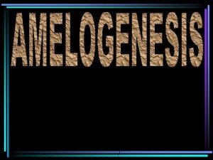 Amelogenesis Process of enamel formation inner enamel epithelium