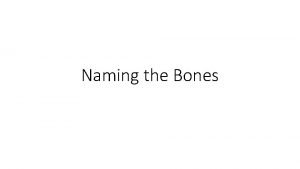 Naming the Bones Sagittal Suture Parietal Squamosal Suture