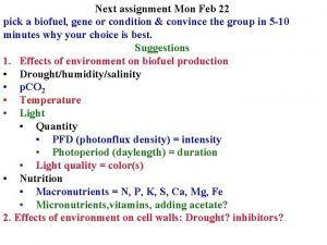 Plant glycolysis