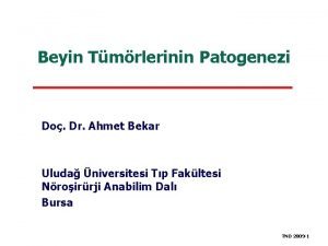 Prof dr ahmet bekar