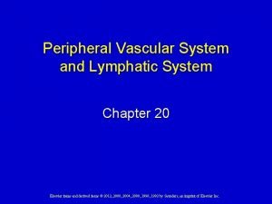 Peripheral vascular system