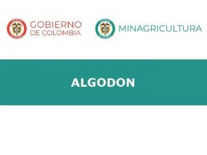 ALGODON CONSUMO APARENTE Las cifras se refieren al