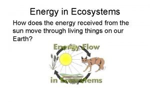 Energy in Ecosystems How does the energy received
