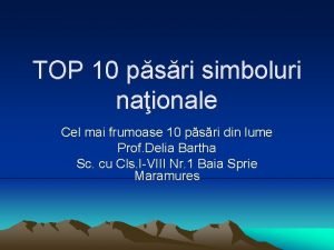 TOP 10 psri simboluri naionale Cel mai frumoase