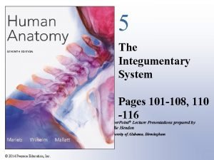 5 The Integumentary System Pages 101 108 110