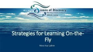 Strategies for Learning Onthe Fly Mary Kay La