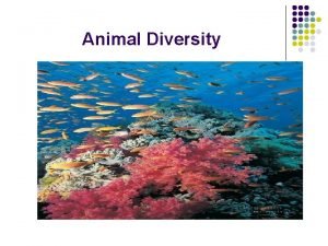 Animal Diversity Animal Characteristics l l l Heterotrophic