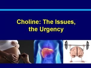 Choline The Issues the Urgency Overall Summary Choline
