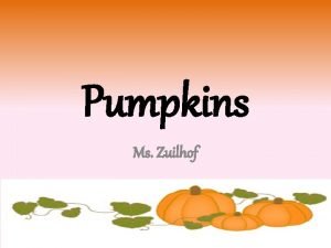 Pumpkins Ms Zuilhof What is a pumpkin A