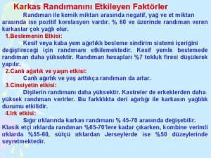 Karkas randımanı