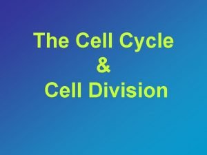 Http://www.cellsalive.com/mitosis.htm