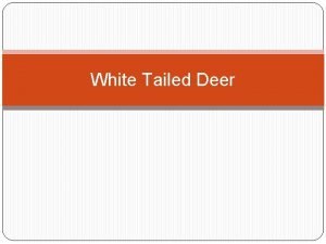 Physical characteristics of deer