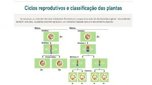 Ciclos reprodutivos Ciclo Haplobionte Ciclo de vida no