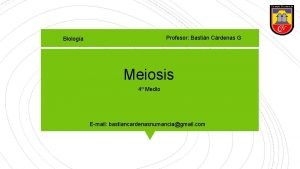 Profesor Bastin Crdenas G Biologa Meiosis 4 Medio