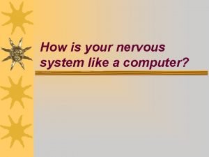 Nervous system of computer